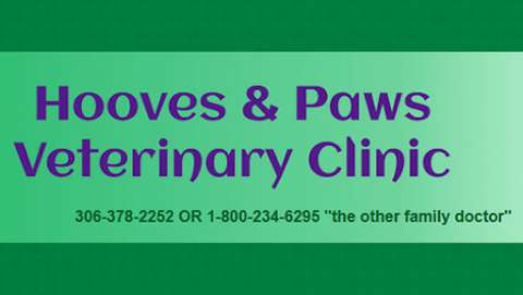 Hooves & Paws Veterinary Clinic